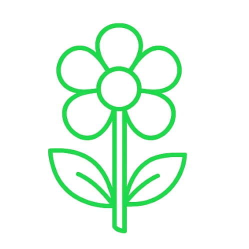 grupa V