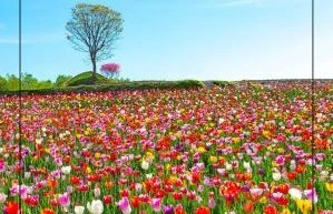 Thought of the month March 2026