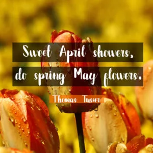 Thought-od-April